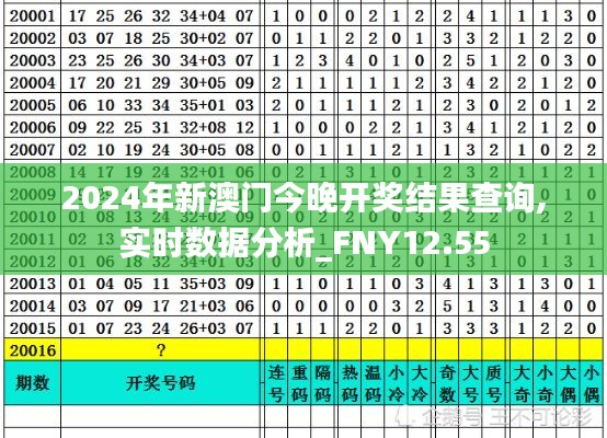 2024年新澳门今晚开奖结果查询,实时数据分析_FNY12.55