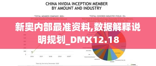 新奥内部最准资料,数据解释说明规划_DMX12.18