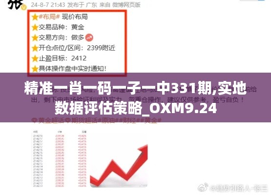 精准一肖一码一子一中331期,实地数据评估策略_OXM9.24