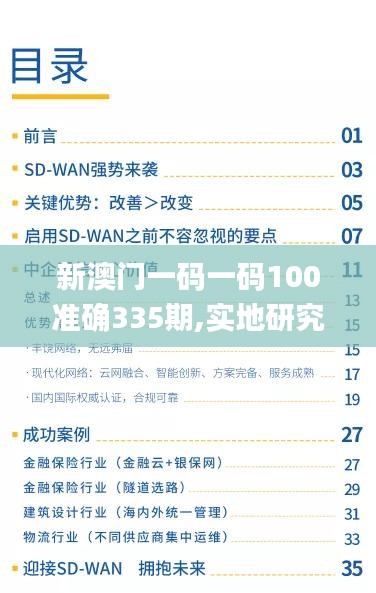 新澳门一码一码100准确335期,实地研究解答落实_OVW9.13