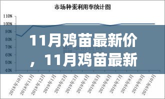 11月鸡苗最新市场价格走势分析与选购指南