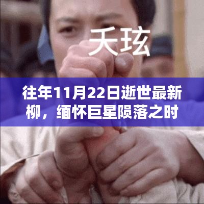 小红书上的永恒回忆，巨星陨落，纪念柳先生的一生