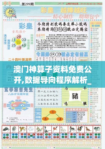 澳门神算子资料免费公开,数据导向程序解析_VBK12.37