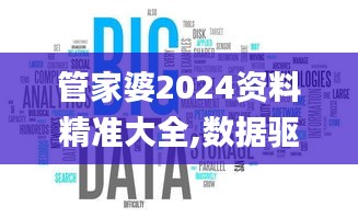 管家婆2024资料精准大全,数据驱动决策_APJ12.1