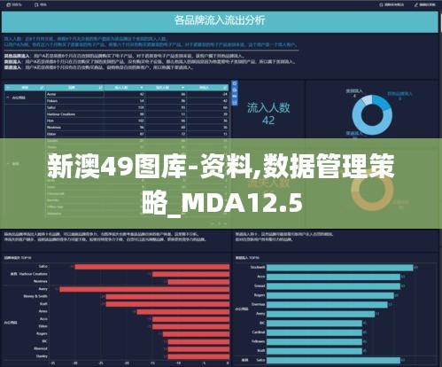 新澳49图库-资料,数据管理策略_MDA12.5