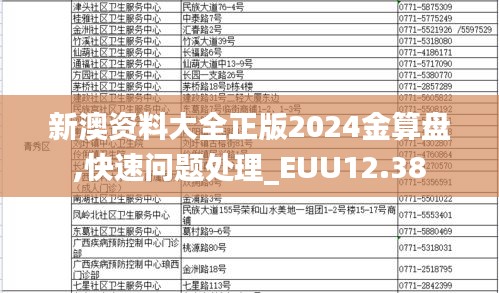 新澳资料大全正版2024金算盘,快速问题处理_EUU12.38