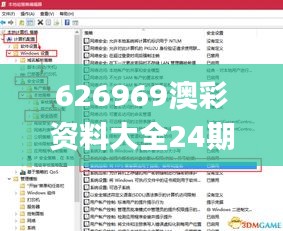 626969澳彩资料大全24期,实地验证研究方案_PSV12.27