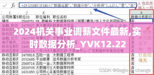 2024机关事业调薪文件最新,实时数据分析_YVK12.22