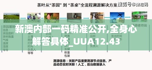 新澳内部一码精准公开,全身心解答具体_UUA12.43