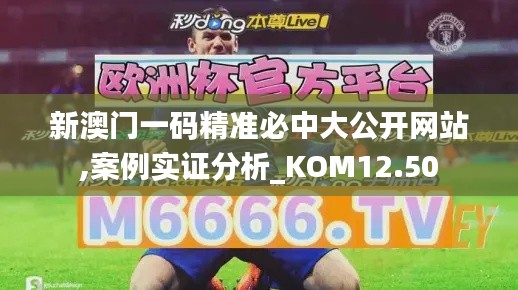 新澳门一码精准必中大公开网站,案例实证分析_KOM12.50