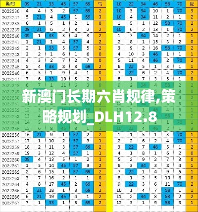 新澳门长期六肖规律,策略规划_DLH12.8