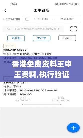 香港免费资料王中王资料,执行验证计划_TSW12.20