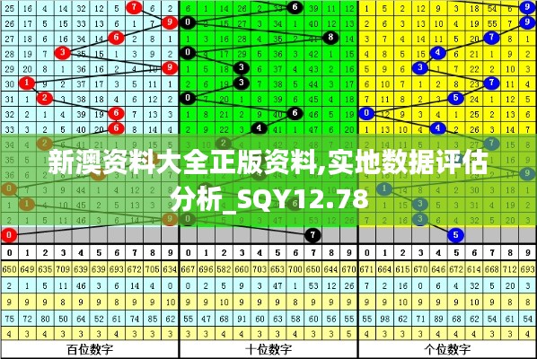 新澳资料大全正版资料,实地数据评估分析_SQY12.78