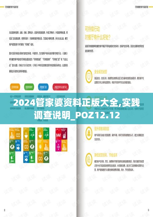 2024管家婆资料正版大全,实践调查说明_POZ12.12