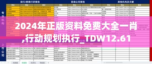 2024年正版资料免费大全一肖,行动规划执行_TDW12.61