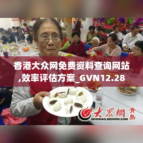 香港大众网免费资料查询网站,效率评估方案_GVN12.28