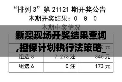 新澳现场开奖结果查询,担保计划执行法策略_FPA12.59