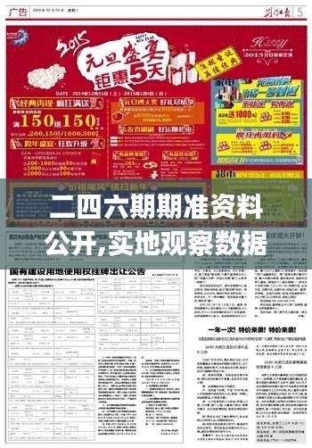 二四六期期准资料公开,实地观察数据设计_GFQ12.83