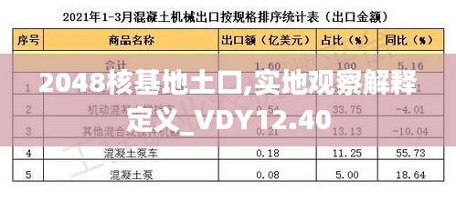 2048核基地土口,实地观察解释定义_VDY12.40