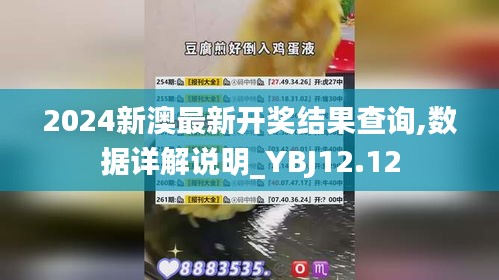 2024新澳最新开奖结果查询,数据详解说明_YBJ12.12