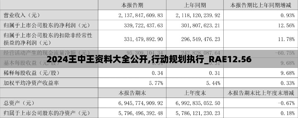 2024王中王资料大全公开,行动规划执行_RAE12.56