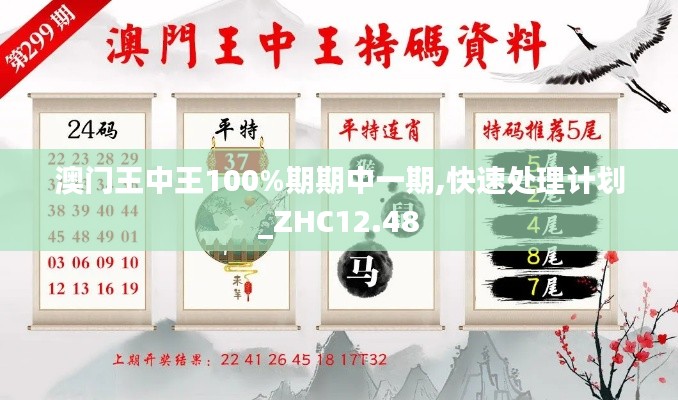 澳门王中王100%期期中一期,快速处理计划_ZHC12.48