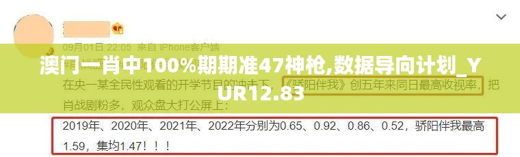 澳门一肖中100%期期准47神枪,数据导向计划_YUR12.83