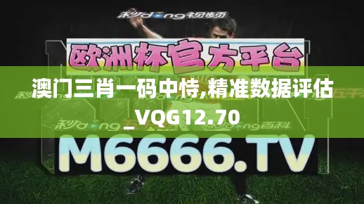 澳门三肖一码中恃,精准数据评估_VQG12.70