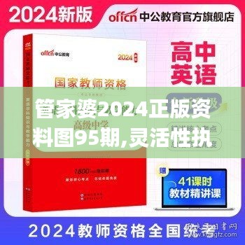 管家婆2024正版资料图95期,灵活性执行方案_RJV12.44