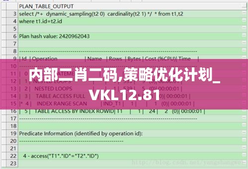 内部二肖二码,策略优化计划_VKL12.81