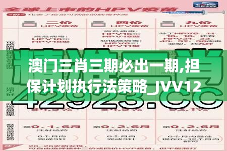 澳门三肖三期必出一期,担保计划执行法策略_JVV12.9