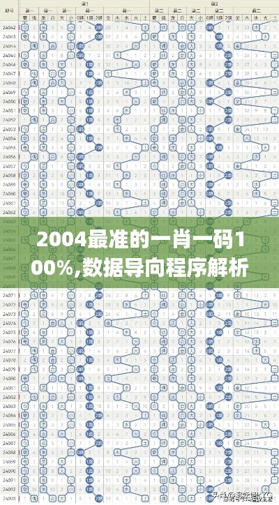 2004最准的一肖一码100%,数据导向程序解析_DSR12.84