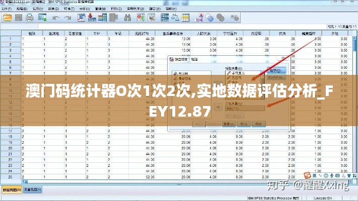 澳门码统计器O次1次2次,实地数据评估分析_FEY12.87