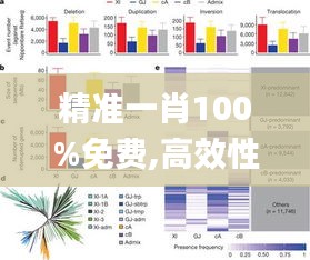 关于我们 第260页