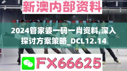 2024管家婆一码一肖资料,深入探讨方案策略_DCL12.14