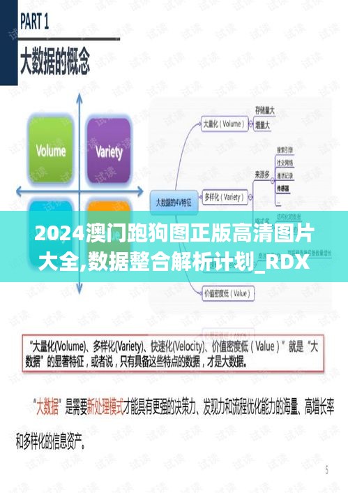 2024澳门跑狗图正版高清图片大全,数据整合解析计划_RDX12.6