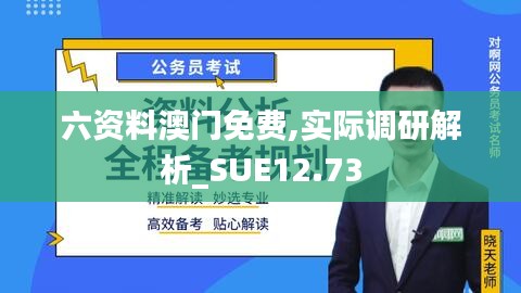 六资料澳门免费,实际调研解析_SUE12.73