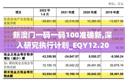 新澳门一码一码100准确新,深入研究执行计划_EQY12.20