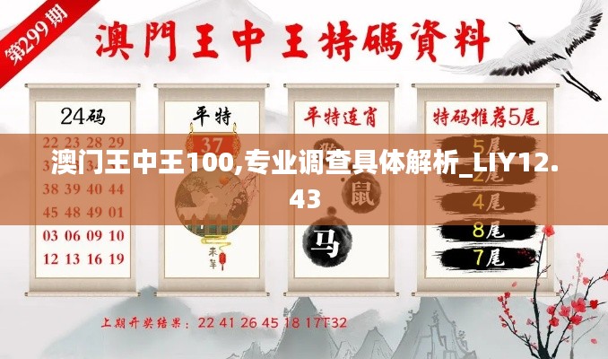 澳门王中王100,专业调查具体解析_LIY12.43