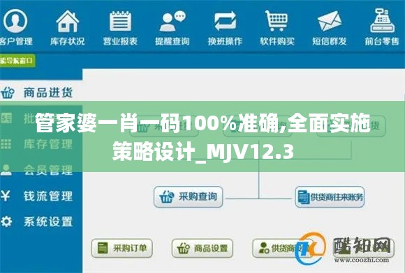 管家婆一肖一码100%准确,全面实施策略设计_MJV12.3