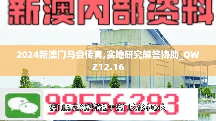 2024新澳门马会传真,实地研究解答协助_QWZ12.16