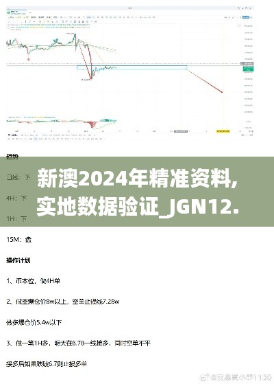 新澳2024年精准资料,实地数据验证_JGN12.7