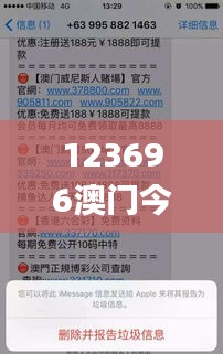 123696澳门今晚开什么,实时处理解答计划_WGD12.36