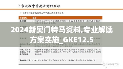 2024新奥门特马资料,专业解读方案实施_GKE12.5