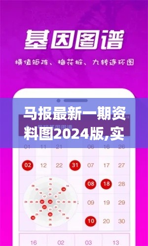 马报最新一期资料图2024版,实时分析处理_BMT12.14