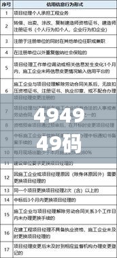 494949码今晚开奖记录,高效计划实施_TNF12.58