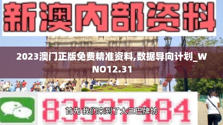 2023澳门正版免费精准资料,数据导向计划_WNO12.31