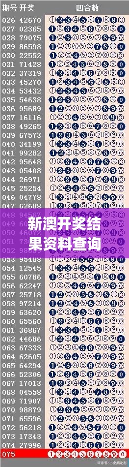 新澳开奖结果资料查询,实时处理解答计划_OGD12.67