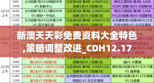 新澳天天彩免费资料大全特色,策略调整改进_CDH12.17