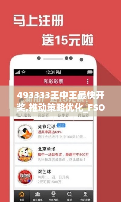 493333王中王最快开奖,推动策略优化_FSO12.88